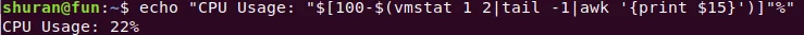 CPU echo output